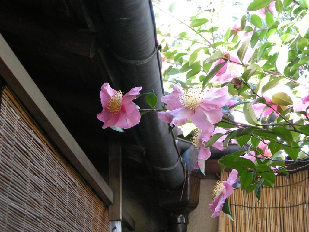 Guesthouse Itoya Kyoto Exteriör bild